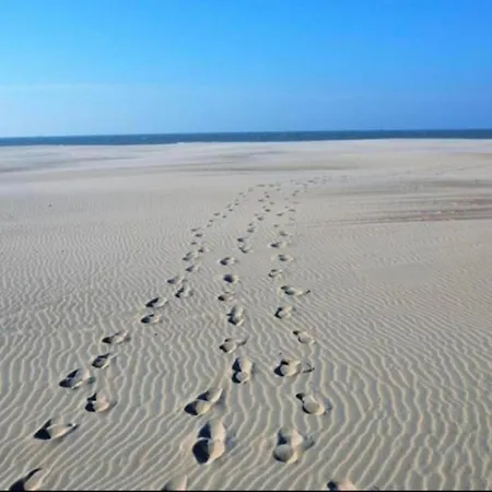 Zonnestraal 503 With Beautiful Sea Views דירה *