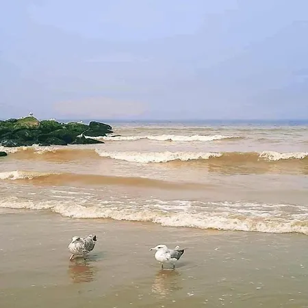 Zonnestraal 503 With Beautiful Sea Views דירה ניופורט